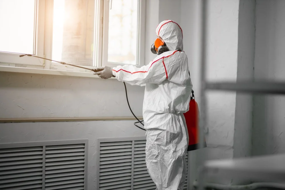Professional mold remediation services in Princeton, AL